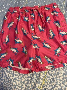 No Boundaries Pink Mesh-Lined Swim shorts, pockets on either side and back